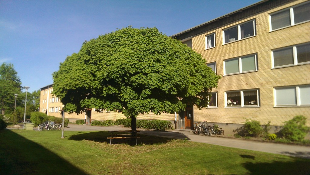 Vårstädning 2013-12